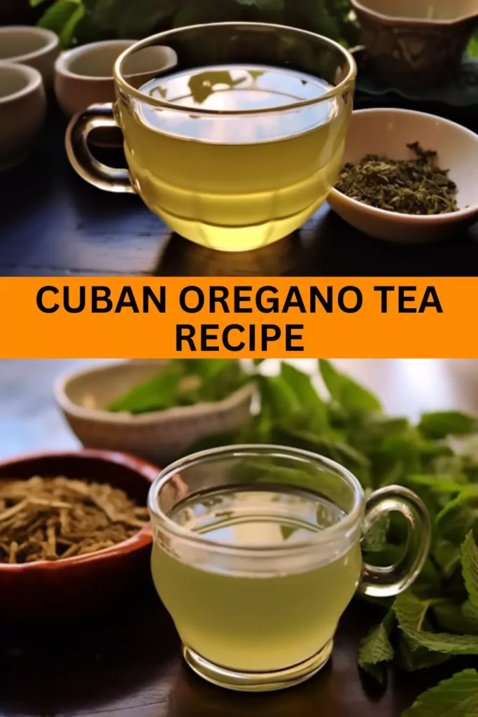 Best Cuban Oregano Tea Recipe
