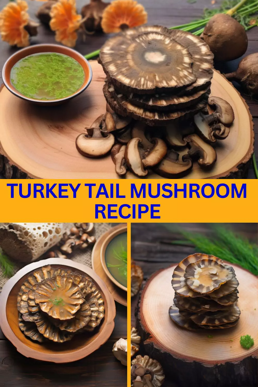 Best Turkey Tail Mushroom Recipe