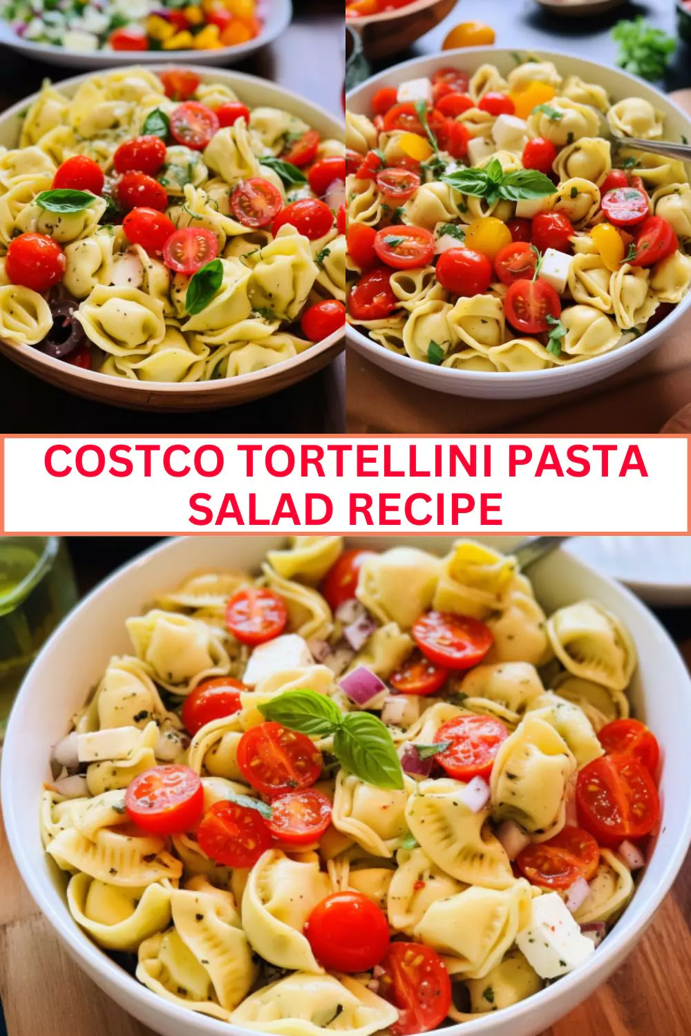 Best Costco Tortellini Pasta Salad Recipe