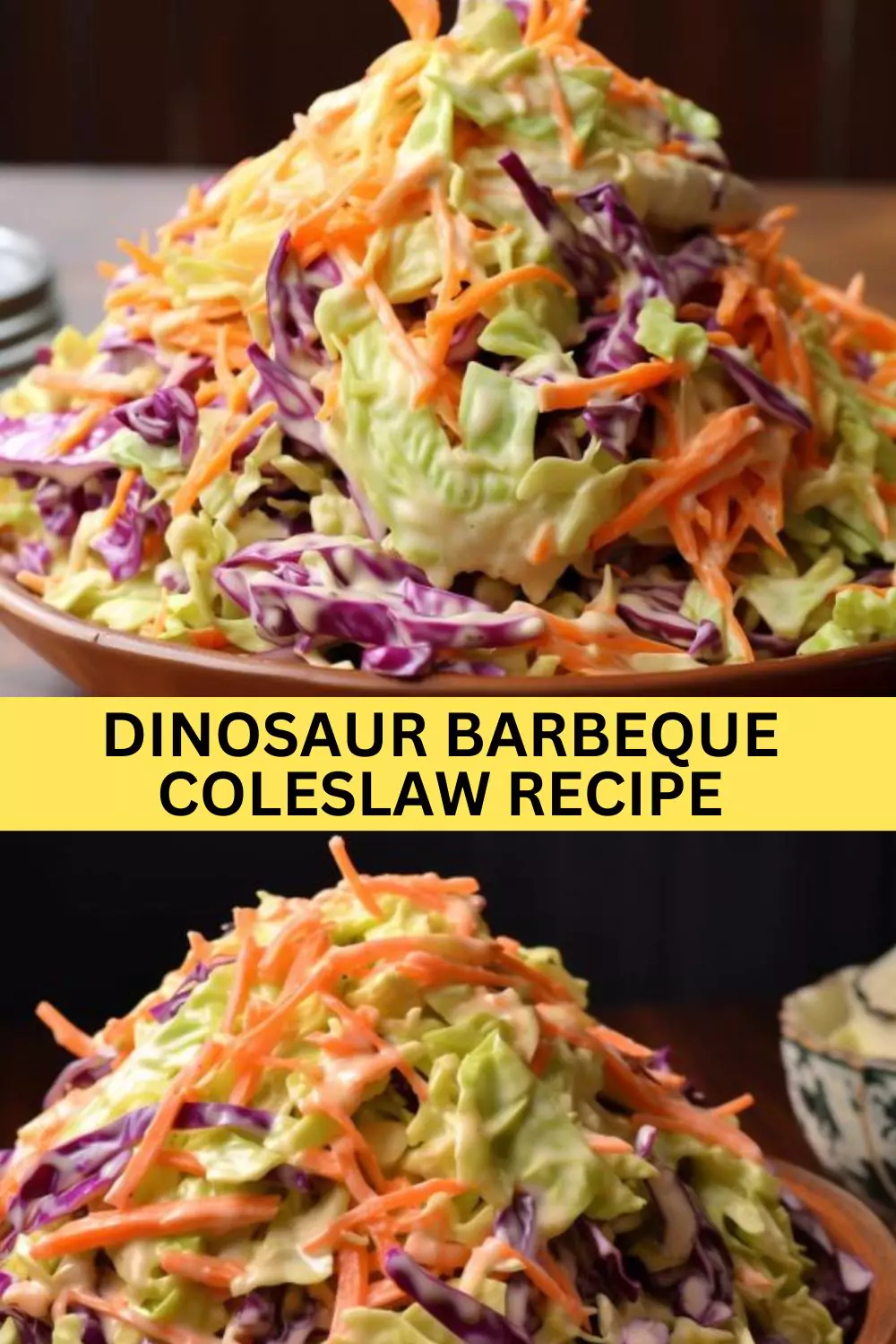 Best Dinosaur Barbeque Coleslaw