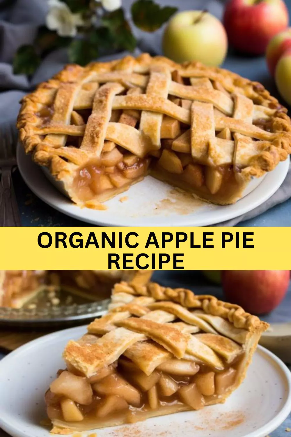 Best Organic Apple Pie Recipe