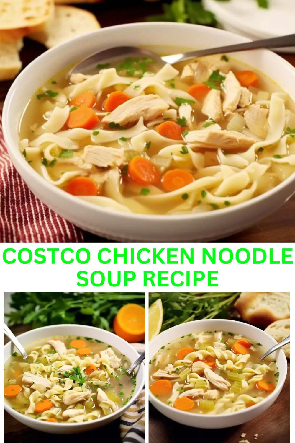 Best Costco Chicken Noodle Soup Recipe