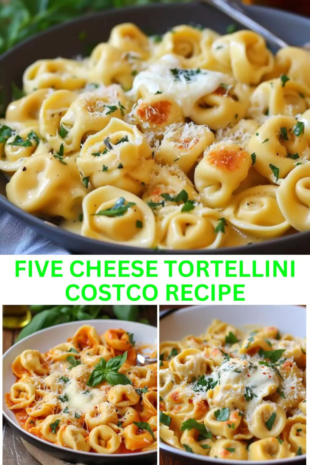 Best Five Cheese Tortellini Costco Recipe