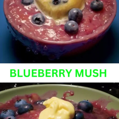 Best Blueberry Mush