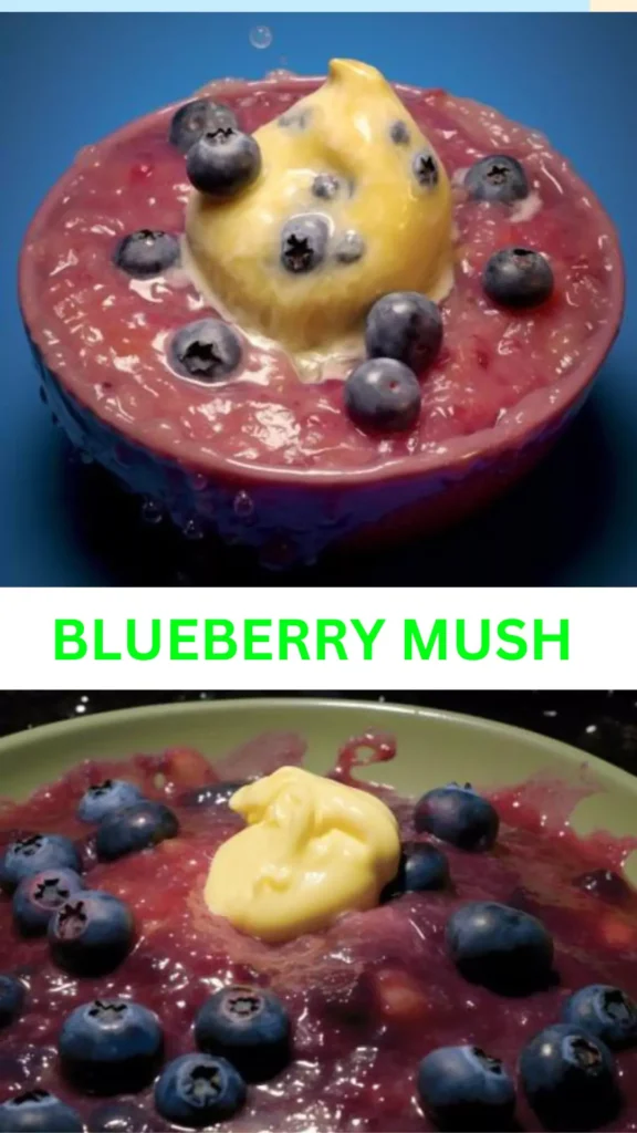 Best Blueberry Mush