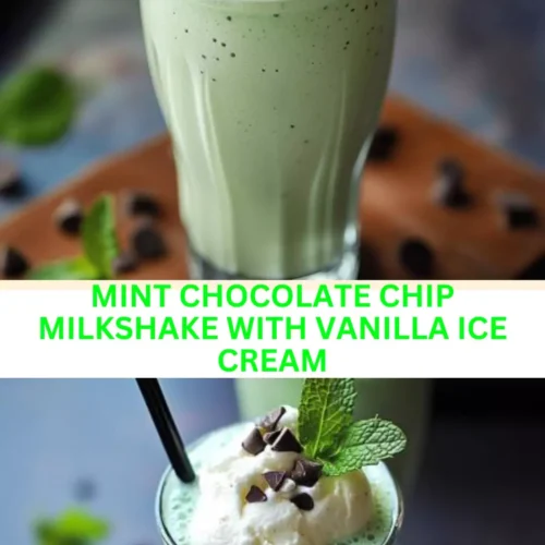 Best Mint chocolate chip milkshake with vanilla ice cream