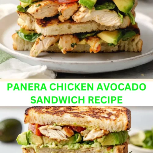 Best Panera Chicken Avocado Sandwich Recipe