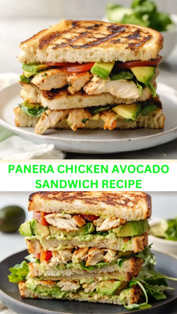 Best Panera Chicken Avocado Sandwich Recipe
