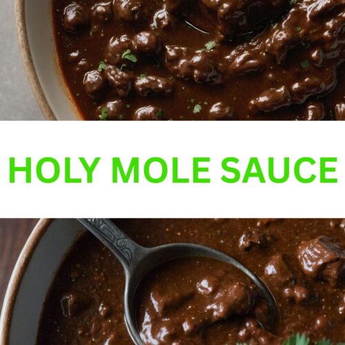 holy mole sauce