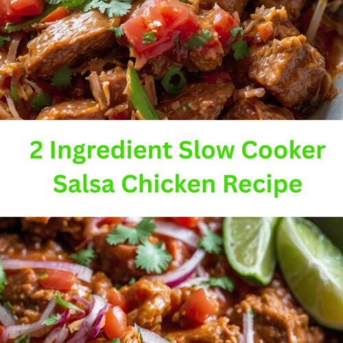 2 ingredient slow cooker salsa chicken recipe
