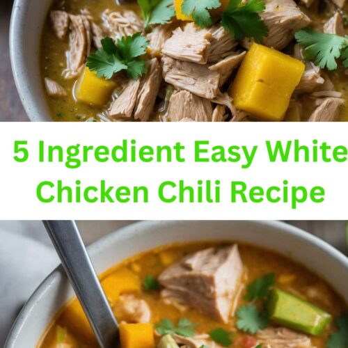 5 ingredient easy white chicken chili recipe
