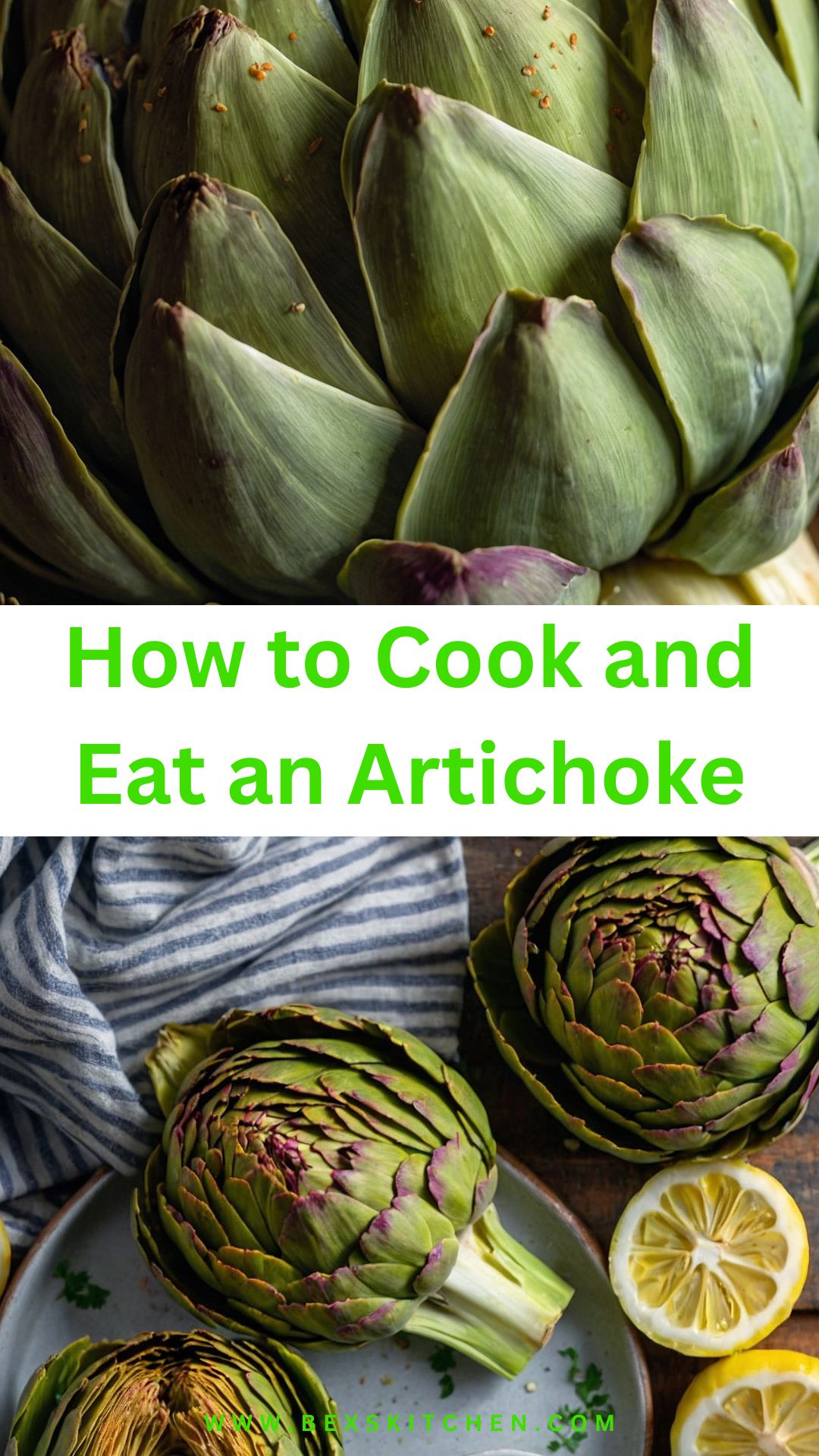 how to cook and eat an artichoke